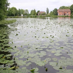 Gut Hanerau