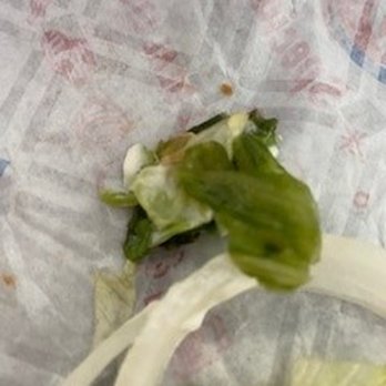 Dairy Queen Grill & Chill - wilted lettuce burger 1 close up - Burgers Near Me - Hamilton, Montana Dairy Queen Grill & Chill - wilted lettuce burger 1 close up - Burgers Near Me - Hamilton, Montana