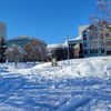 Town Square Park gift card
