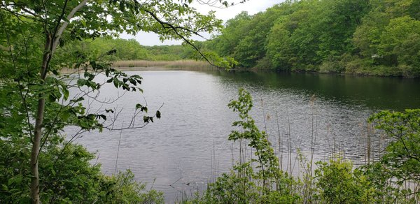 Cranberry Lake Preserve by null