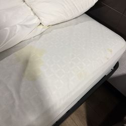 Urine bed stain