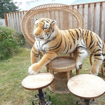 Lex's Cool Stuff - Come on! He really does look real! - Home & Garden Near Me - Tillamook, Oregon
