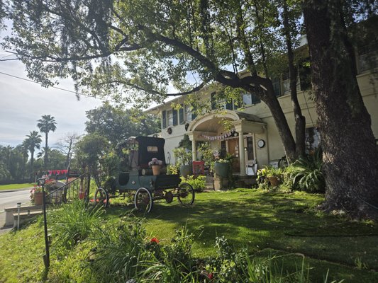 Rose Tree Cottage by null