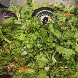 Champ Elysses lettuce. It's Saturday, September 20th, the bag expires on September 23, 2025. I purchased on 9/17/25. Champ Elysses lettuce. It's Saturday, September 20th, the bag expires on September 23, 2025. I purchased on 9/17/25.
