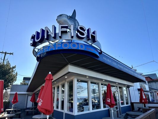 Sunfish by null