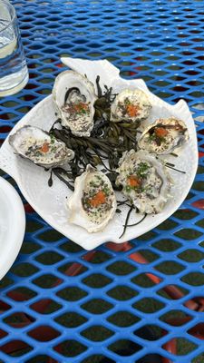 Sedalia’s Oyster & Seafood by null