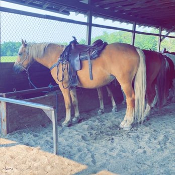 Pine River Stables - Horseback Riding Near Me - St. Clair, Michigan Pine River Stables - Horseback Riding Near Me - St. Clair, Michigan