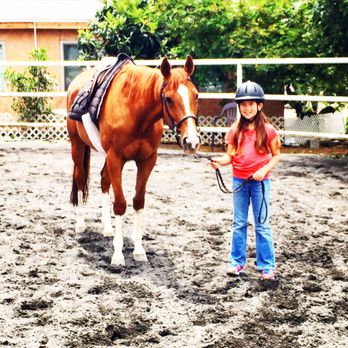 Zequestrian - Horseback Riding Near Me - San Juan Capistrano, California