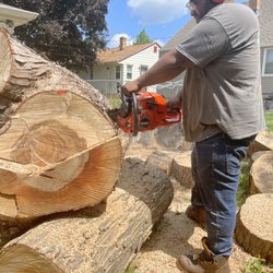 Tevin & Sons Lawn Care & Snow Removal - Tree contract