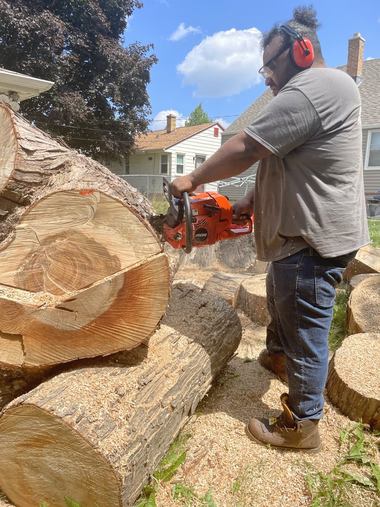 Tevin & Sons Lawn Care & Snow Removal - tree service in Milwaukee, WI