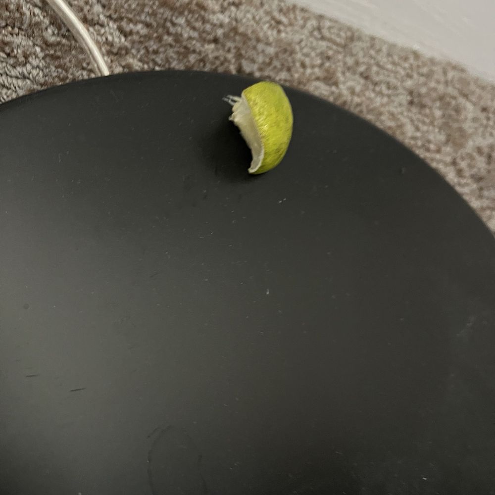 Hotel de Anza - Lemon wedge found on the base of the lamp in the room. - Hotels Near Me - San Jose, California Hotel de Anza - Lemon wedge found on the base of the lamp in the room. - Hotels Near Me - San Jose, California