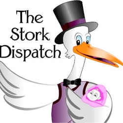 The Stork Dispatch - The Best Baby Gift Ever!