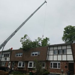 ADVANCED ARBORISTS & LANDSCAPERS - Emergency tree removal!