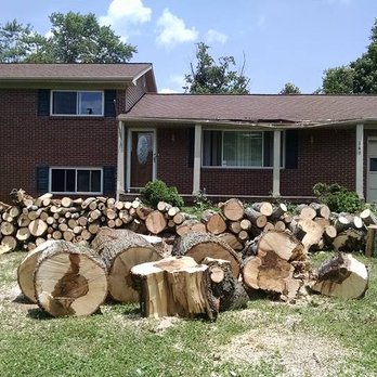 Blake's Quality Services - Tree Services Near Me