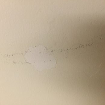 Watermark - Try to wipe marks off wall and the paint just comes off - Apartments Near Me - Bakersfield, California