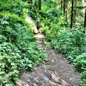 Boulder River Trail - You can see the vegetation all around the path. This is about an hour into the hike. - Hiking Near Me Boulder River Trail - You can see the vegetation all around the path. This is about an hour into the hike. - Hiking Near Me