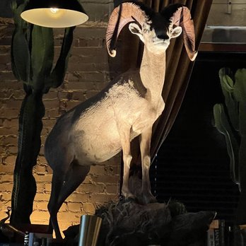 Brass Ram - New American Near Me - Dallas, Texas Brass Ram - New American Near Me - Dallas, Texas
