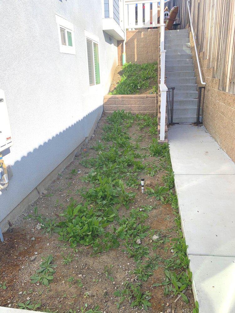 Slide of Rivetti Landscapes