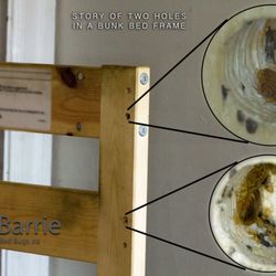 Barrie Bed Bugs