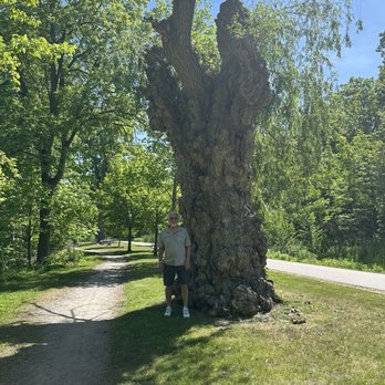 Springbank Park - Parks Near Me - London, Ontario Springbank Park - Parks Near Me - London, Ontario