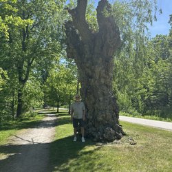Springbank Park