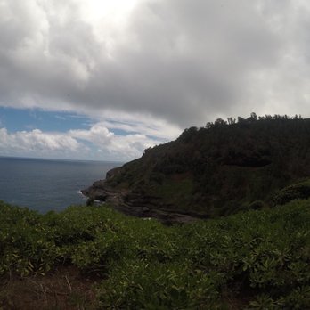 Kilauea Point - Wildlife Control Near Me - Kilauea, Hawaii Kilauea Point - Wildlife Control Near Me - Kilauea, Hawaii