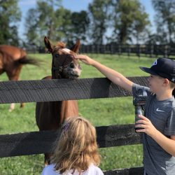 Sun Valley Farm
