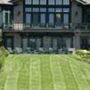 Ny Turf Guys