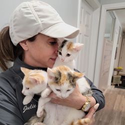 Pet Pride of New York - Julie coordinates our foster program for mama cats and kittens.