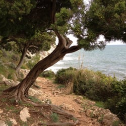 Punta Rossa