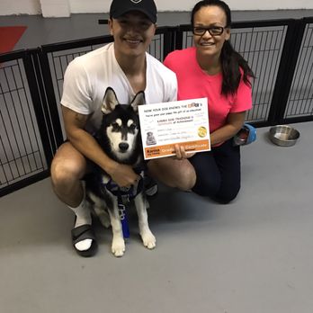 Karma Dog Training - Graduated ! - Pet Training Near Me - Granada Hills, California Karma Dog Training - Graduated ! - Pet Training Near Me - Granada Hills, California