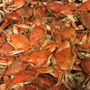 Photo of Heads & Tails Seafood
