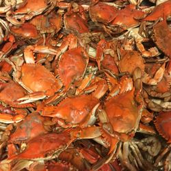 Heads & Tails Seafood