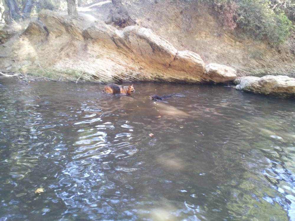 Michael D Antonovich Trail 440 Photos 78 Reviews Hiking 822 1098 S Ave San Dimas Ca United States