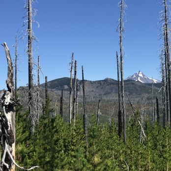 Canyon Creek Meadows - Mt Jefferson - Parks Near Me - Sisters, Oregon Canyon Creek Meadows - Mt Jefferson - Parks Near Me - Sisters, Oregon