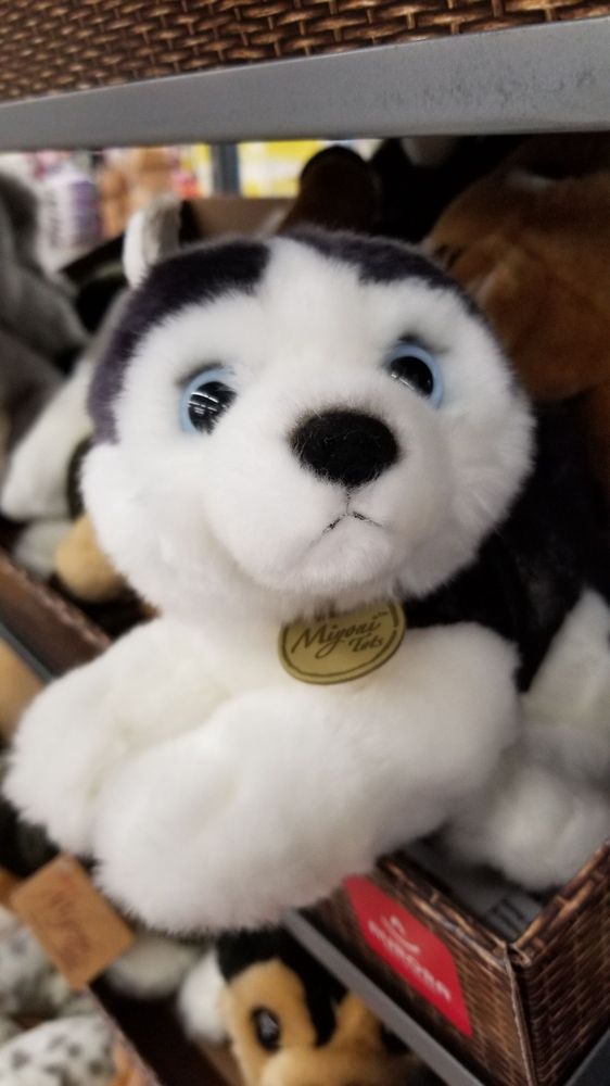 TRACTOR SUPPLY Updated August 2024 38 Photos & 111 Reviews 2195