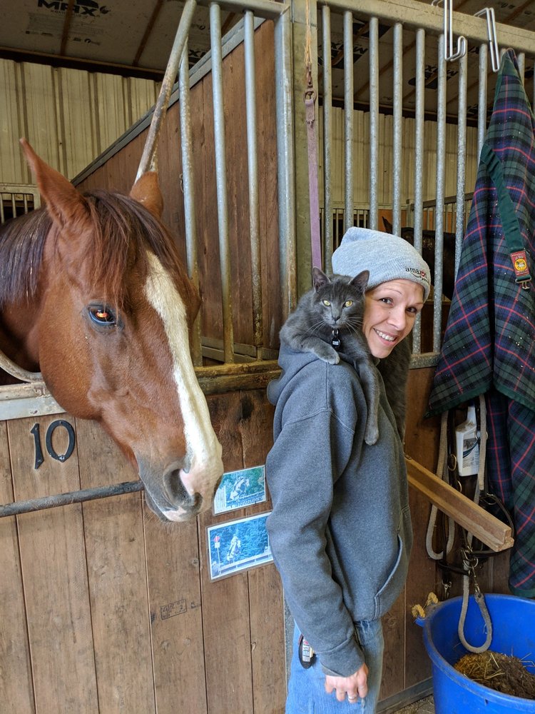 CHAPEL HILL EQUESTRIAN Updated August 2024 23 Photos 6694 Stirrup