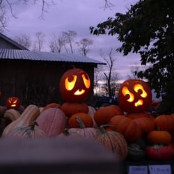 Comus Market - Every Halloween David Lights up 100 Carved Pumpkins
