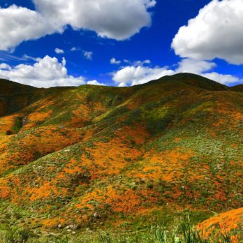 Walker Canyon Ecological Reserve - Wildlife Hunting Ranges Near Me