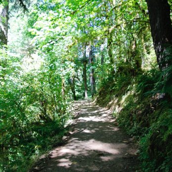Silver Falls State Park - Hiking Near Me - Sublimity, Oregon Silver Falls State Park - Hiking Near Me - Sublimity, Oregon