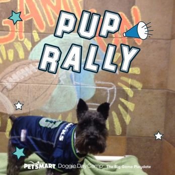 PetSmart Doggie Day Camp - Pet Stores Near Me - Tukwila, Washington