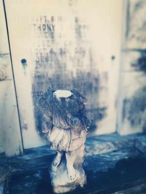 St Vincent De Paul Cemetery by null