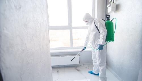 Mold Experts of Frederick - mold inspector in Frederick, MD