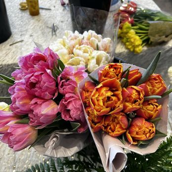 CYMNOW Flowers - Tulips - Florists Near Me - Falls Church, Virginia CYMNOW Flowers - Tulips - Florists Near Me - Falls Church, Virginia