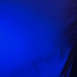 Crowne Plaza North Augusta - Black light inspection
