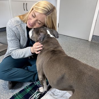 Dr Cory's Guiding Light - Veterinarians Near Me Dr Cory's Guiding Light - Veterinarians Near Me