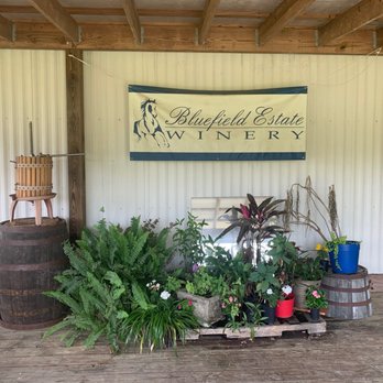 Bluefield Estate Winery - Wineries Near Me - Gainesville, Florida Bluefield Estate Winery - Wineries Near Me - Gainesville, Florida