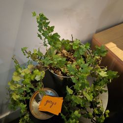 Gary's - By the entrance ~