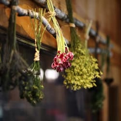 Store decor,,,