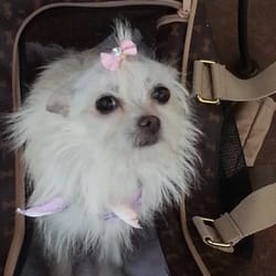 minecraft animal set